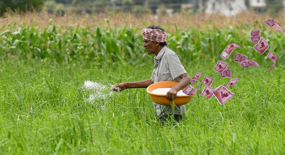 ఎవుసంపై ఎరువుల భారం!
