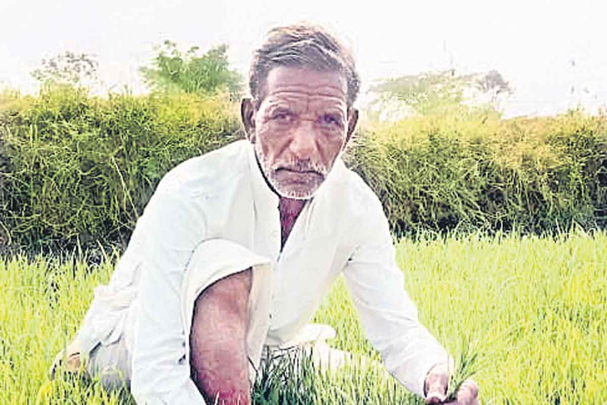 కొడుకులను పైసల్‌ అడుగుతలే..