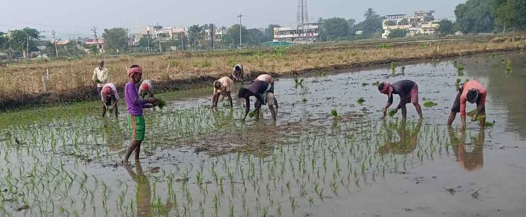 వలసలకు టాటా.. ఉపాధి బాట
