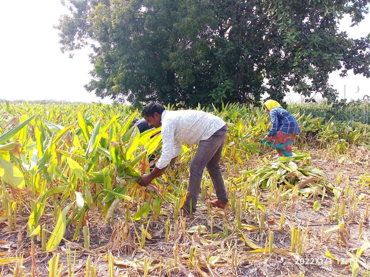 అన్ని పనులకూ రైతుబంధు పైసలే..