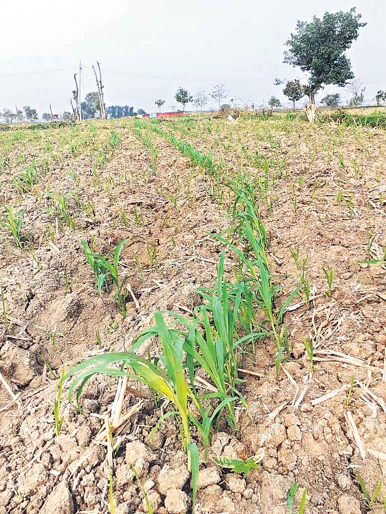 పోచారం ఆయకట్టులో.. మార్పు మొదలైంది