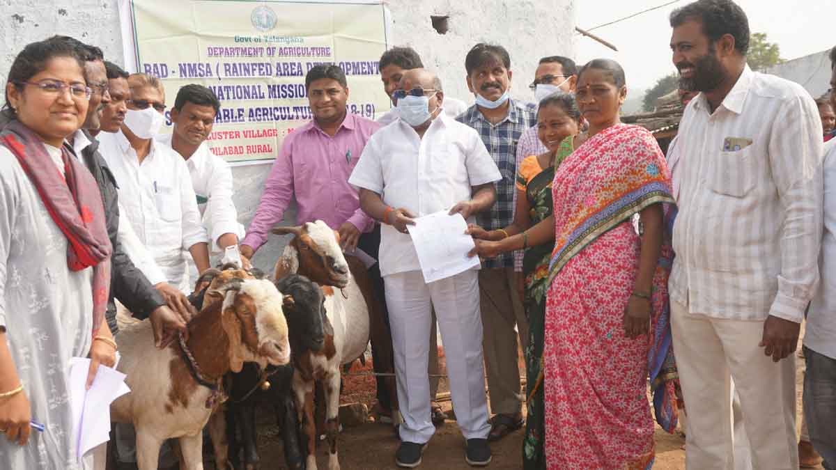 రైతుల గోస తీరినప్పుడే రాష్ర్టాభివృద్ధి