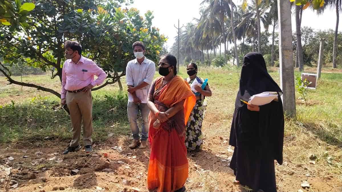 ఆయిల్‌పాం విస్తరణకు ప్రాధాన్యం