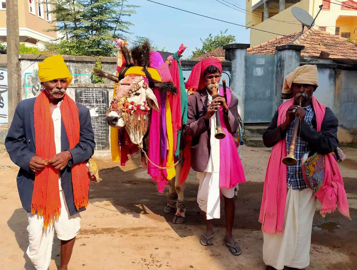 సంక్రాంతి శోభ