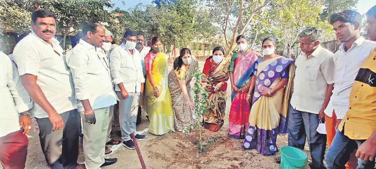 గ్రీన్‌ ఇండియా చాలెంజ్‌ గ్రేట్‌