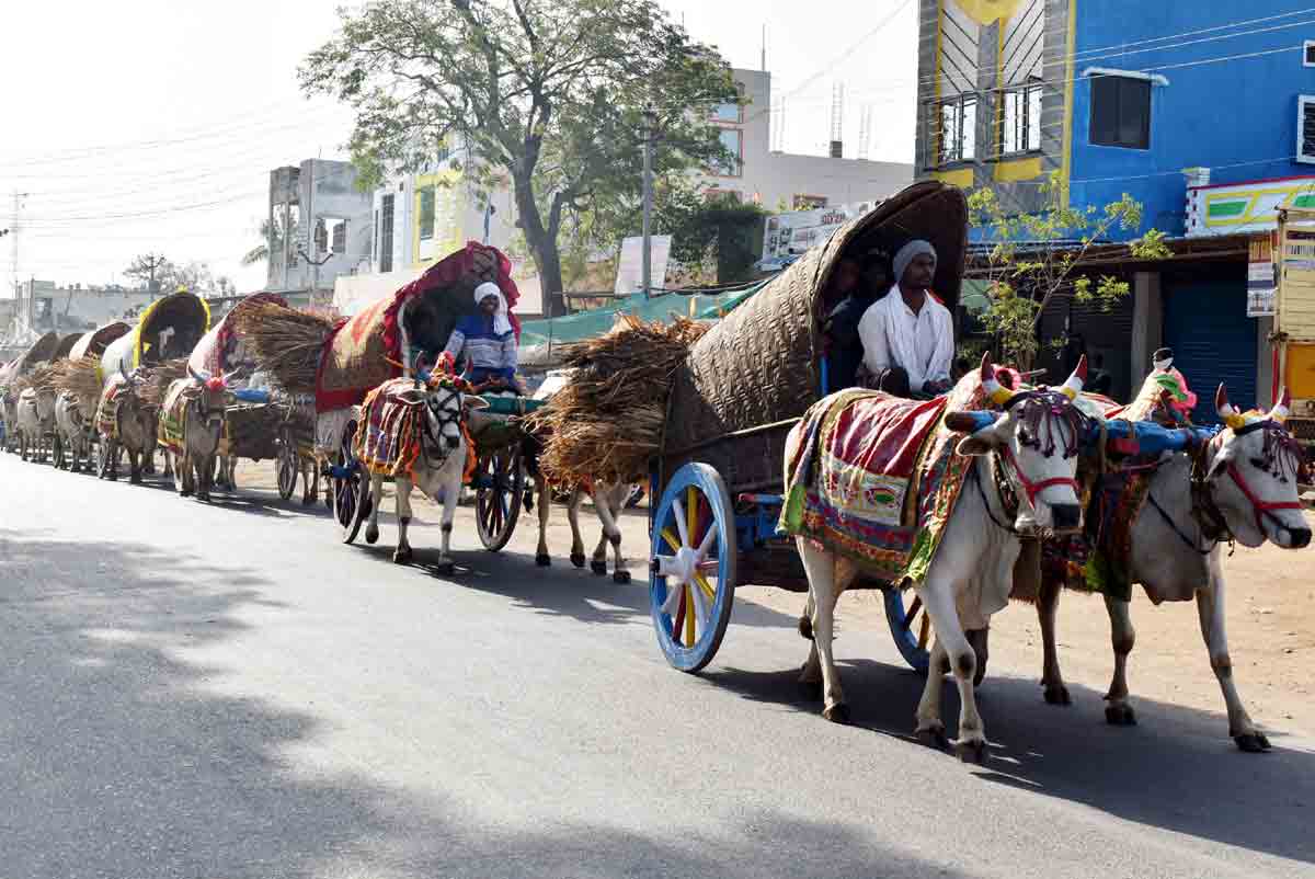 మర్రిచెట్ల వద్దకు మెస్రం వంశీయులు