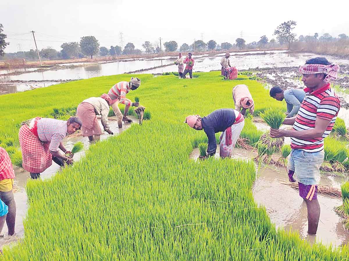 ఉపాధి కూడలి తెలంగాణే!