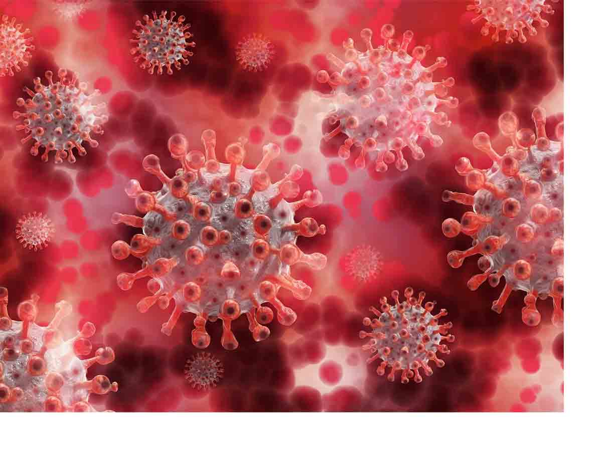 రిమ్స్‌ మెడికల్‌ కళాశాలలో కరోనా కలకలం..