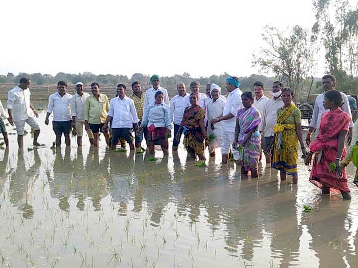 Vikarabad : రైతుబంధుతో రైతులకు తప్పిన అప్పుల తిప్పలు..