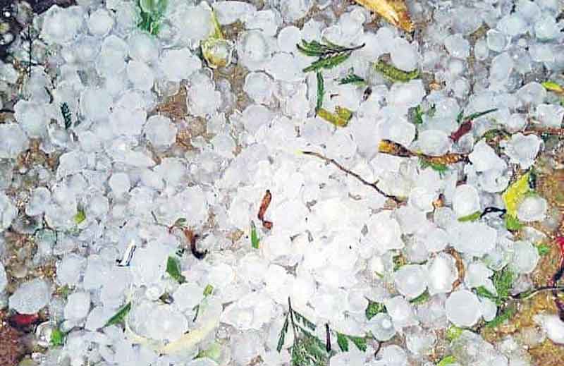 గాలివాన బీభత్సం