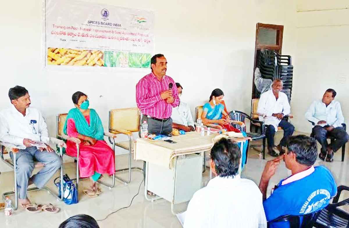 రాయితీలు సద్వినియోగం చేసుకోవాలి