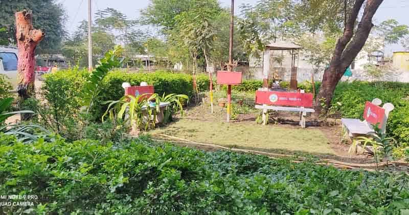 పచ్చని పాఠశాలలు