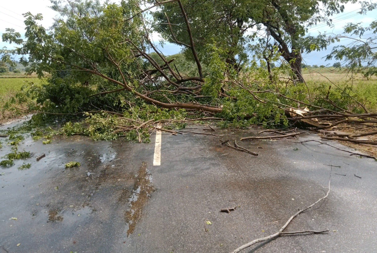 Rain fall | ఆసిఫాబాద్ జిల్లాలో వర్ష బీభత్సం..