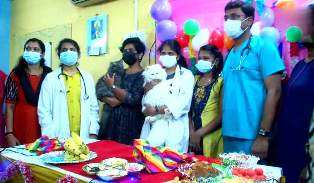 పెంపుడు పిల్లుల‌కు సీమంతం చేసిన మ‌హిళ.. ఎక్క‌డో తెలుసా..?