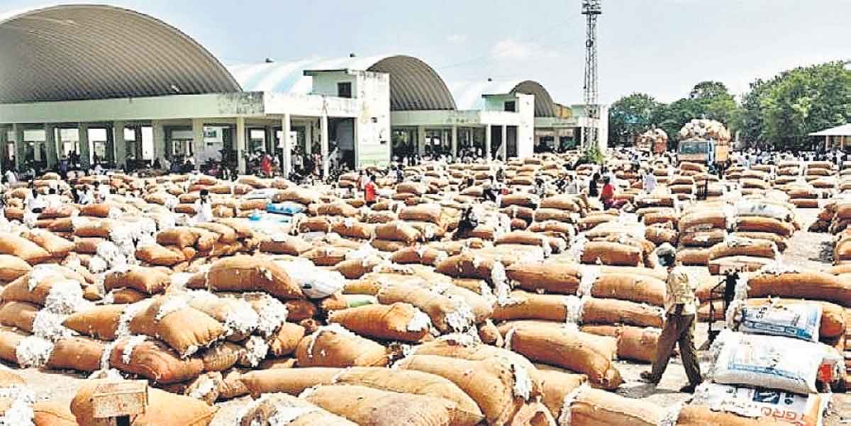 పత్తి ధరహాసం