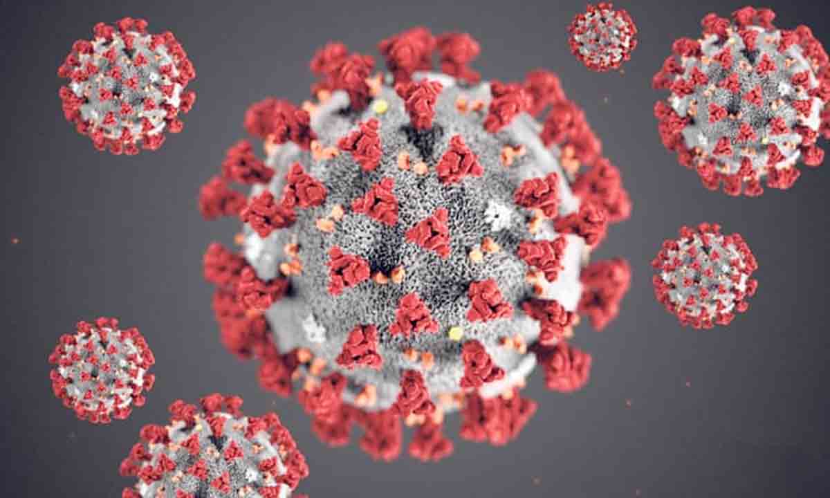 కొత్త కొవిడ్‌ కేసులు 1,920