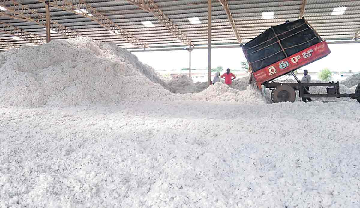 కేసీఆర్‌ మాట.. పసిడి పంటల బాట !