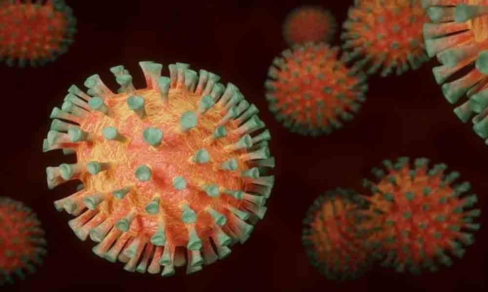 corona virus new variant