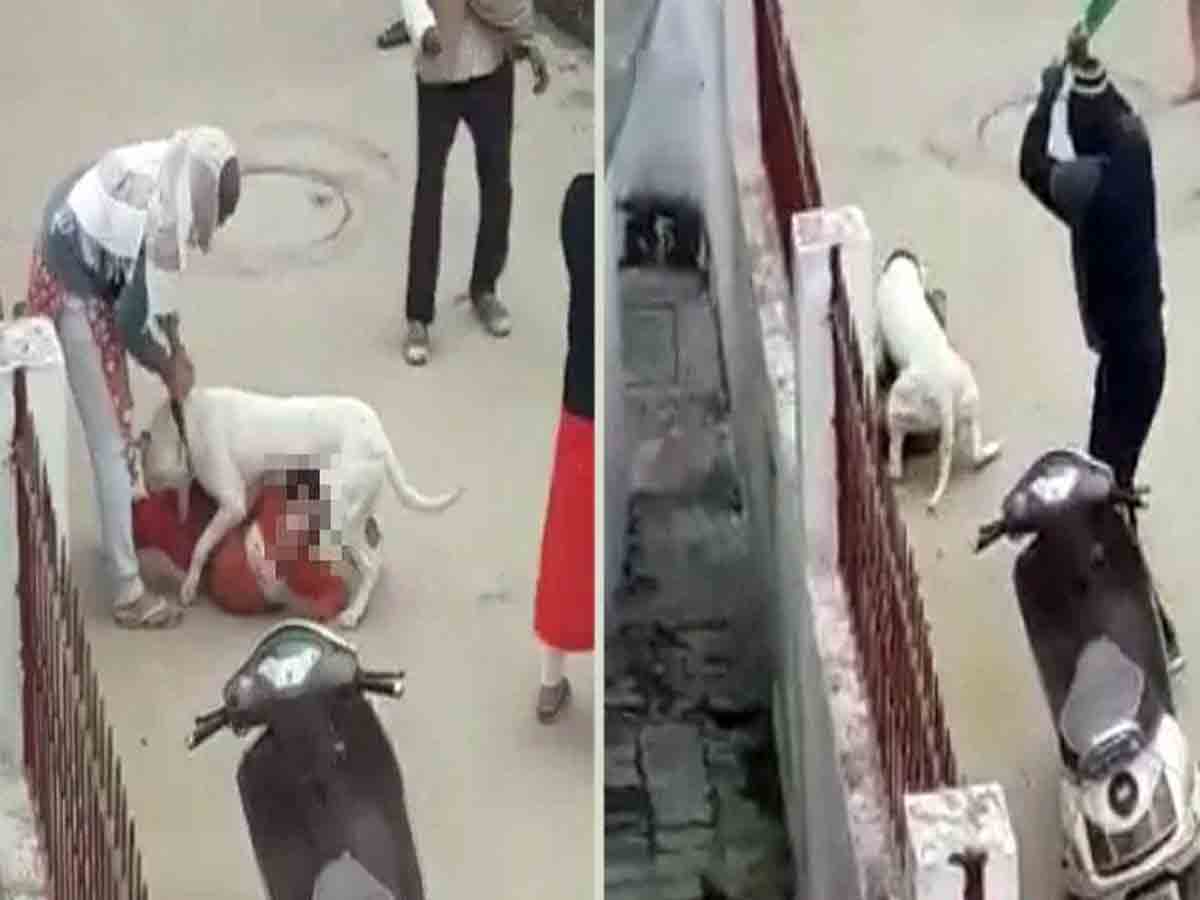 చిన్నారిపై కుక్క దాడి… చూస్తూ ప‌ట్టించుకోని య‌జ‌మానిపై కేసు