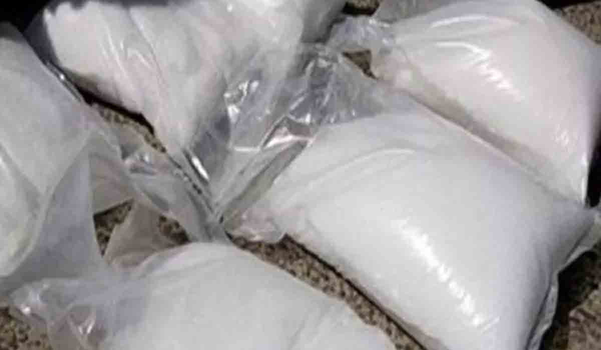 హైదరాబాద్‌లో భారీగా పట్టుబడ్డ డ్రగ్స్‌