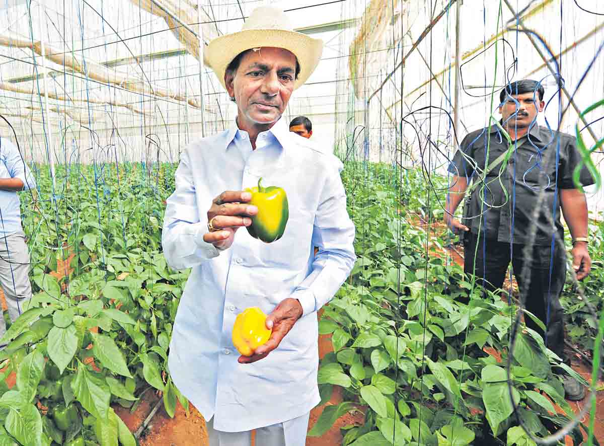 వ్యవసాయానికి సాయం