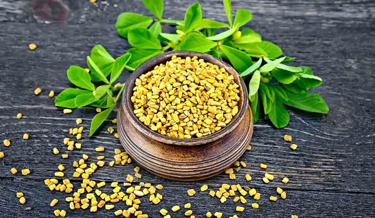 మెంతులు చేసే మేలు అంతింత కాద‌యా.. మ‌ధుమేహ రోగుల‌కు లాభాలు మెండ‌యా..!