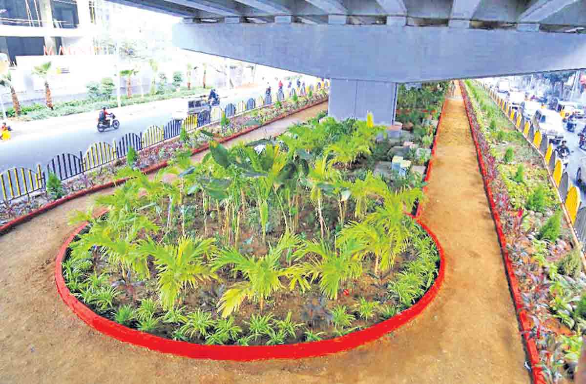 కొత్త ఏడాదిన కొంగొత్త కానుక..