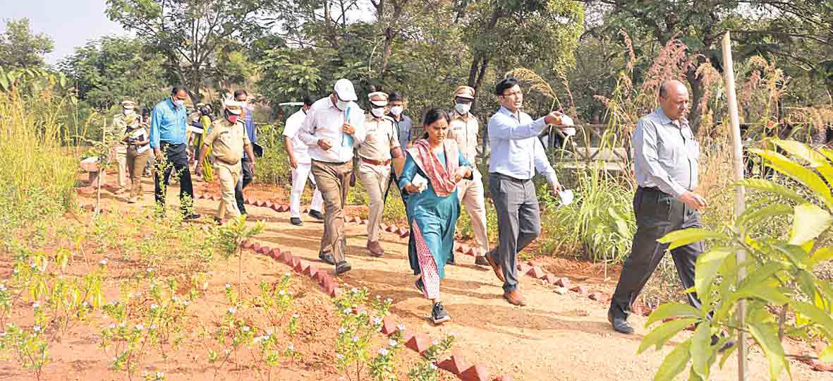 అడవుల సంరక్షణ అందరి బాధ్యత