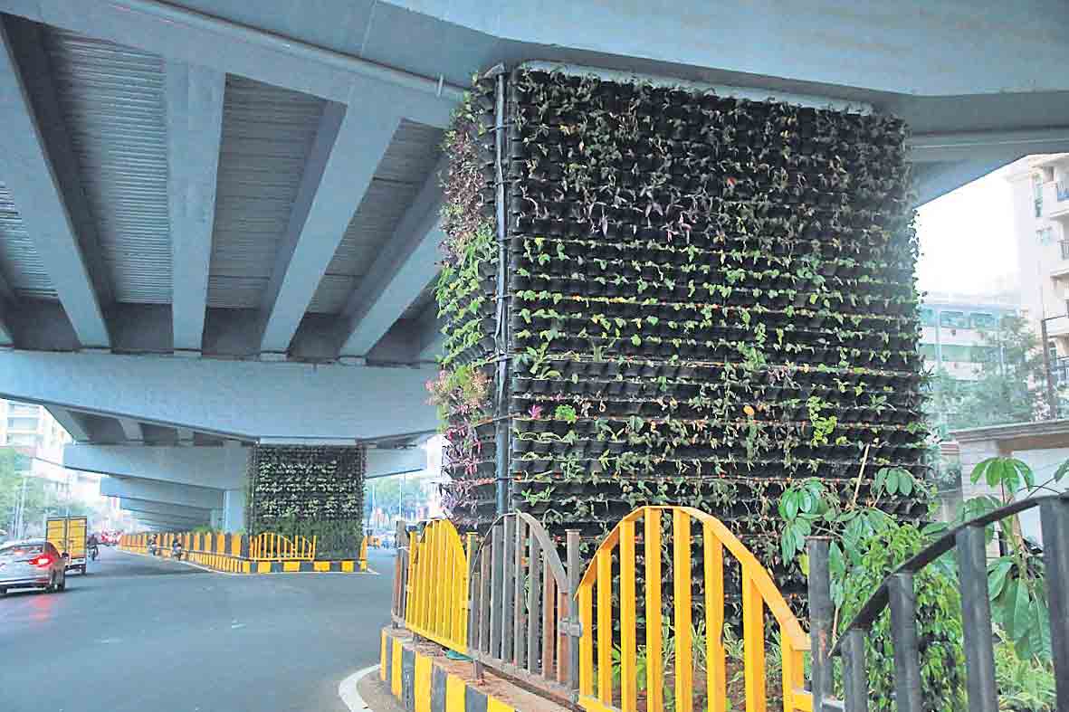 నిలువెల్లా పచ్చందాలె