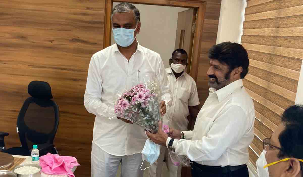 మంత్రి హ‌రీశ్‌రావును క‌లిసిన న‌టుడు బాల‌కృష్ణ‌