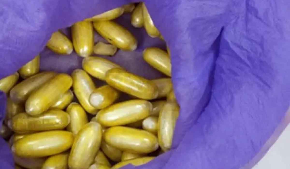 చెన్నై విమానాశ్ర‌యంలో కేజీ హెరాయిన్ సీజ్‌