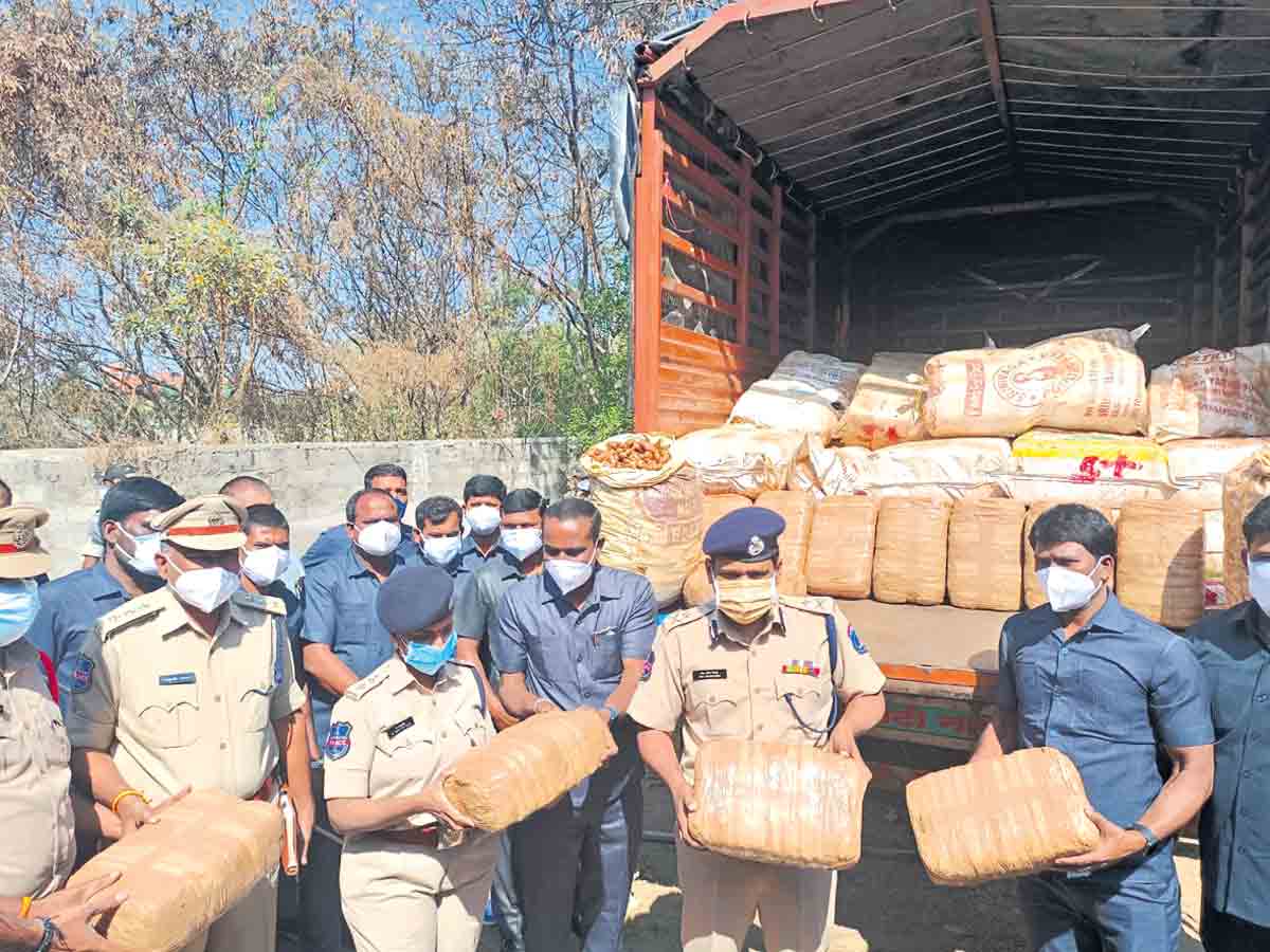 అల్లం మాటున గంజాయి
