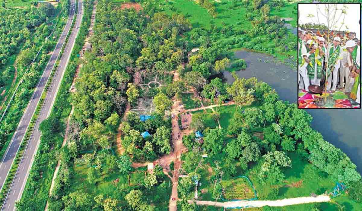 కంగ్రాట్స్ హైద‌రాబాద్.. ప‌ర్యావ‌ర‌ణ‌వేత్త ఏరిక్ సోలీహిమ్ ట్వీట్