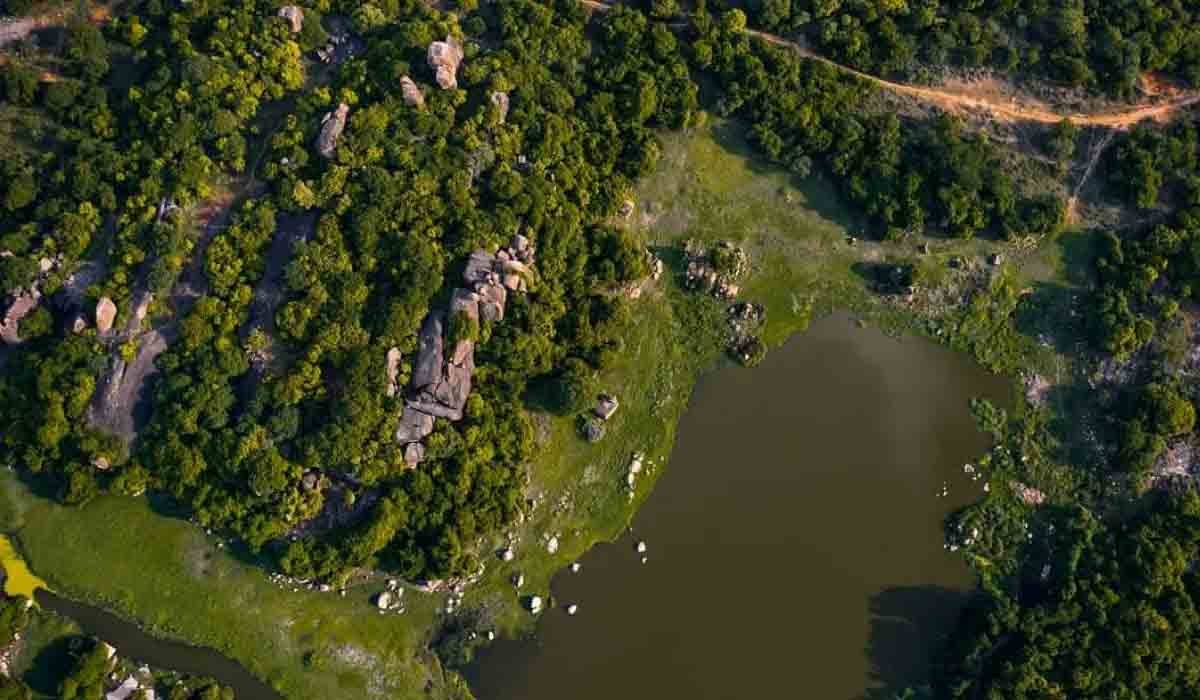 హ‌రిత‌హారం క్రెడిట్ అంతా కేసీఆర్‌దే.. ఏరిక్ ట్వీట్‌పై కేటీఆర్ స్పంద‌న‌