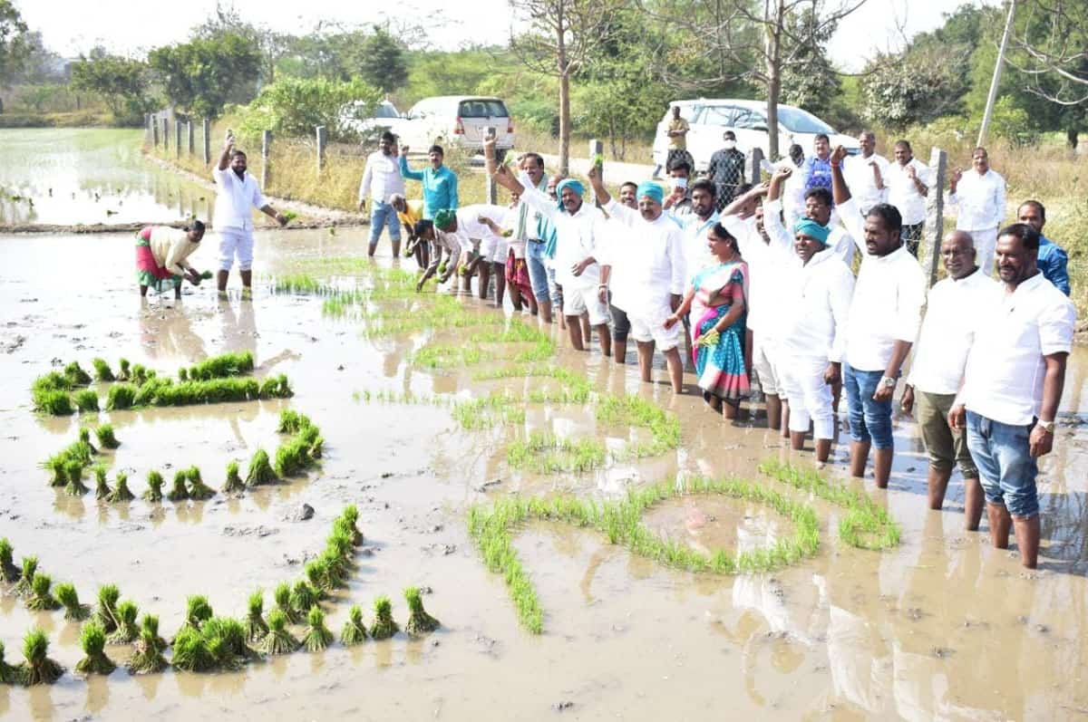 మురుస్తున్న చేను.. చెలక