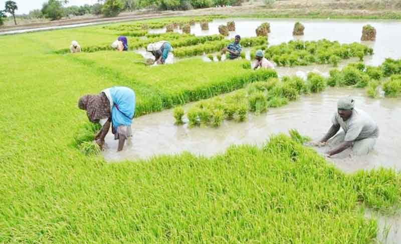 పెట్టుబడి ఎక్కువ.. లాభం తక్కువ..