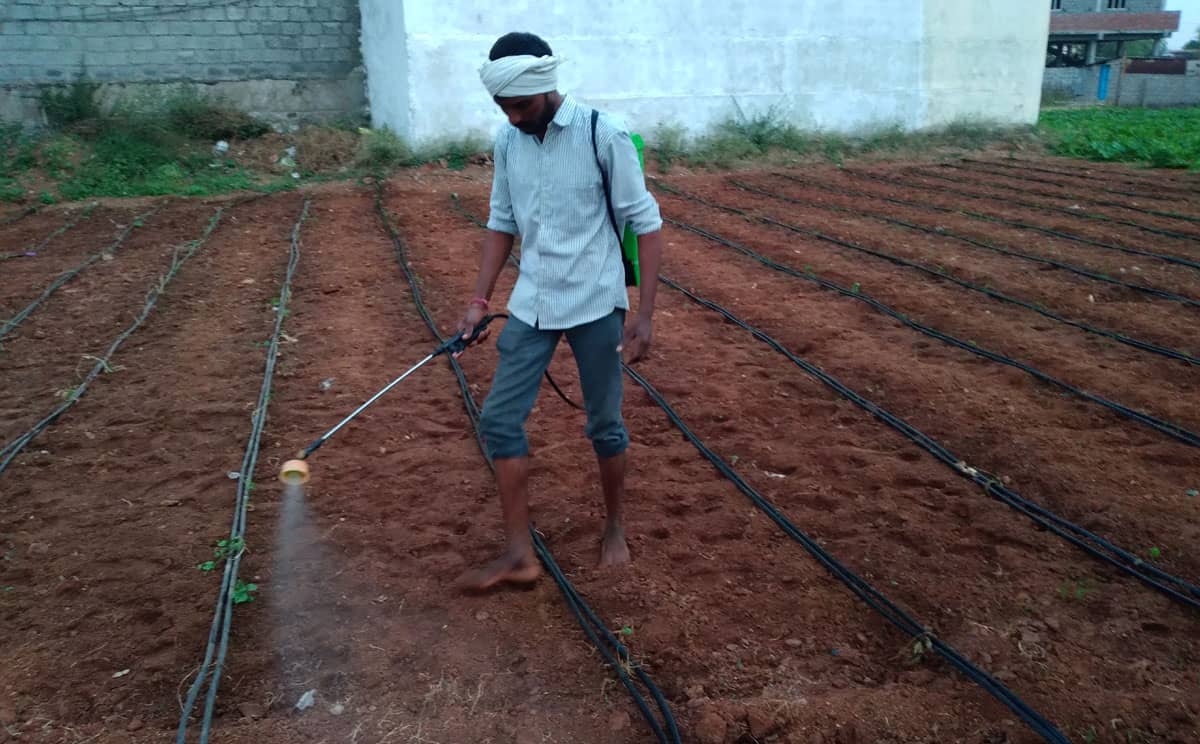 అన్నదాత ఆనందోత్సాహం