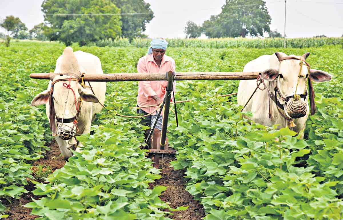రైతన్నకు పెట్టుబడి సాయంలో తెలంగాణకు ఏదీ సాటి?