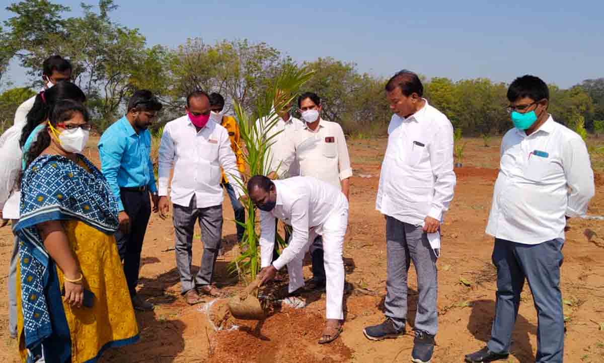 ఆయిల్‌ పామ్‌ సాగుపై దృష్టిసారించాలి