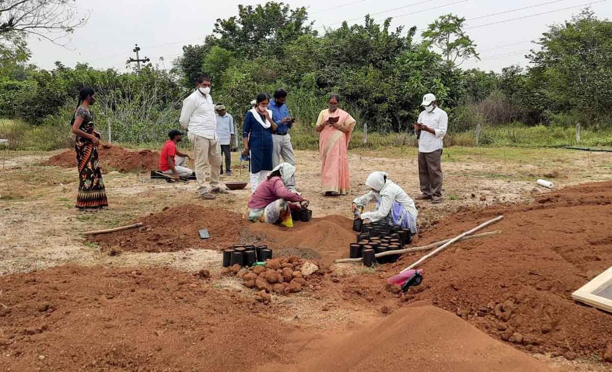 వచ్చే ఏడాదికి హరిత కార్యాచరణ
