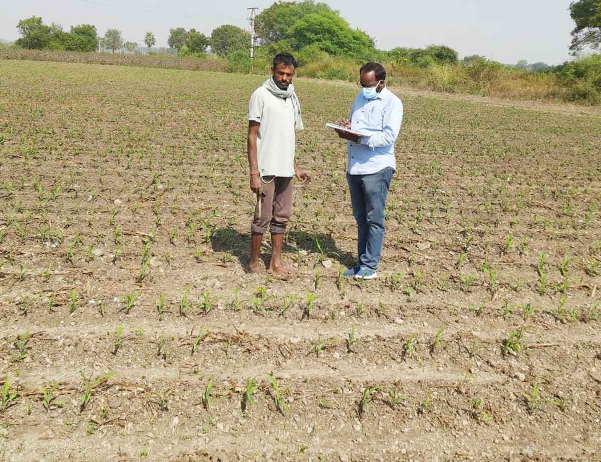 ఆరుతడి పంటలతో అధిక లాభాలు