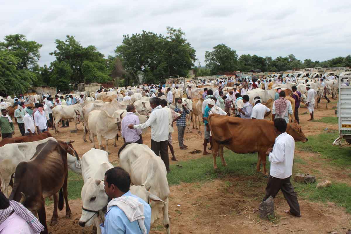 మా ఊరు అంగడి