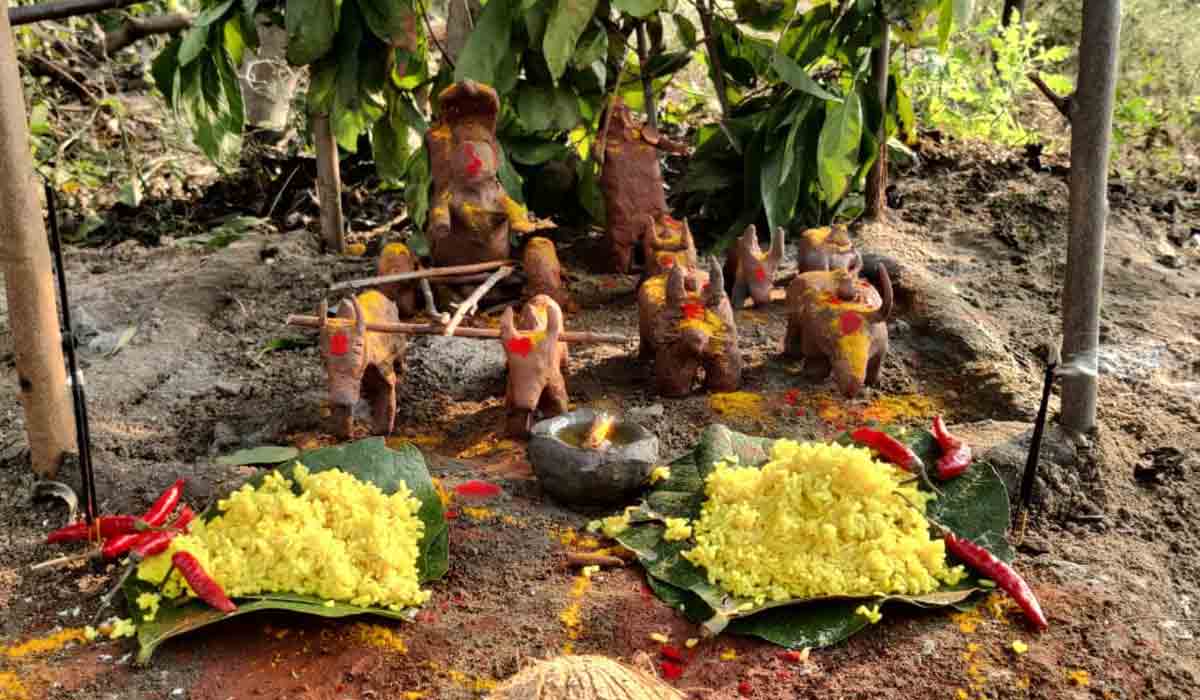 ఘనంగా కాట్రావుల పండుగ.. ఆచారాన్ని కాపాడుకుంటున్న ఆ గ్రామ‌స్తులు