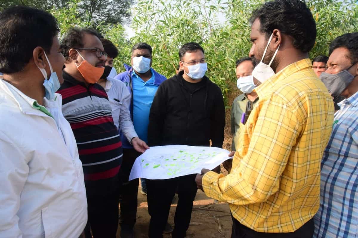 పెద్దఎత్తున మొక్కలు నాటాలి