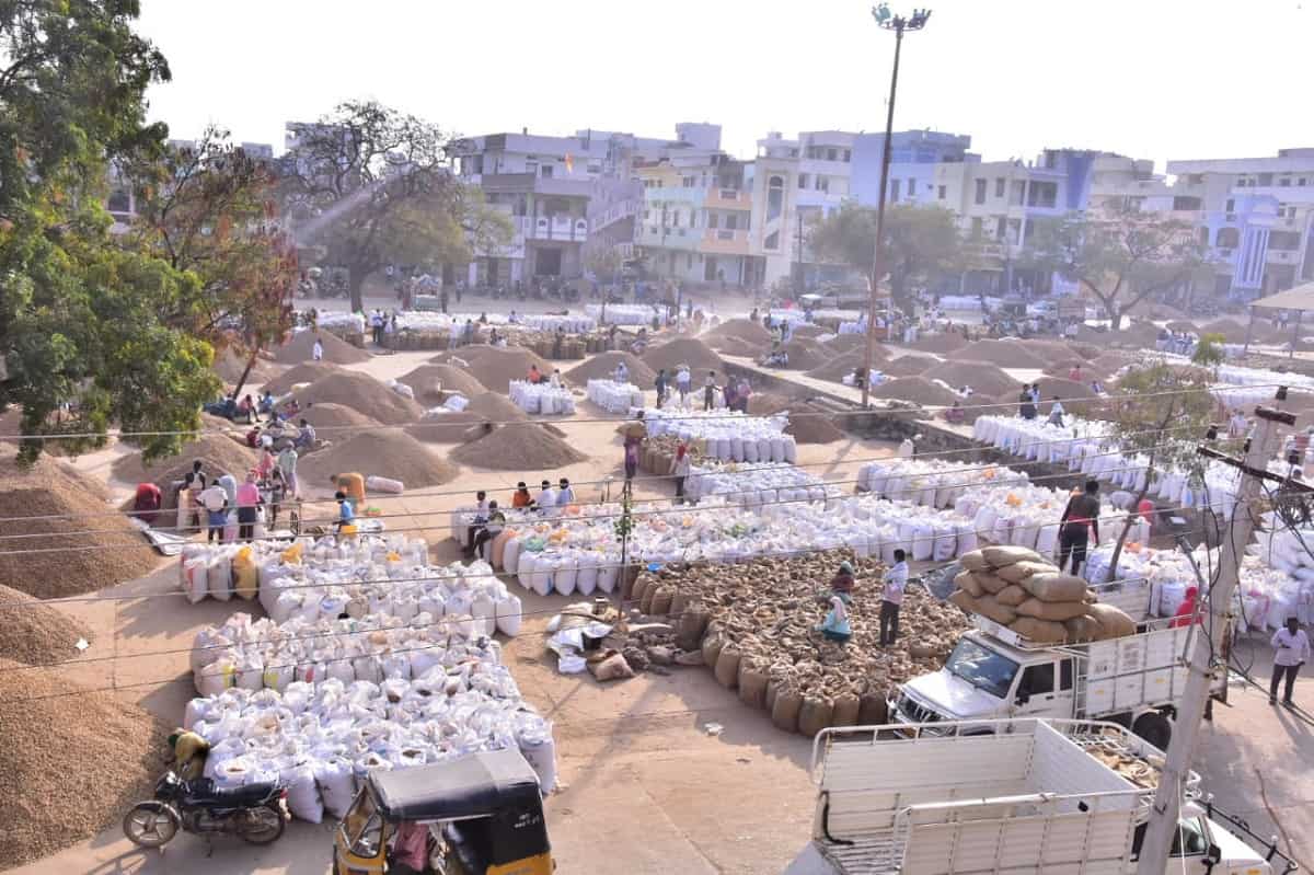 వేరుశనగ సిరులు