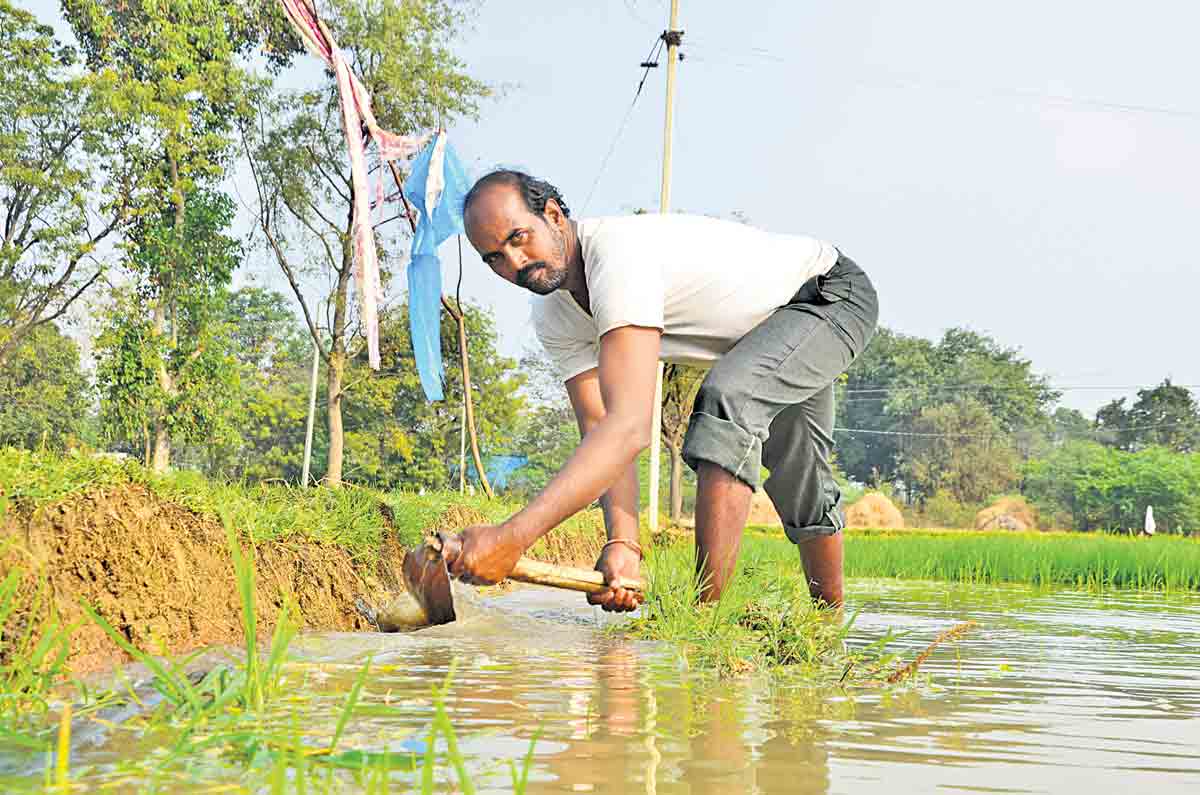 కేసీఆర్‌ అంటే ఎవుసమే గుర్తుకొస్తది