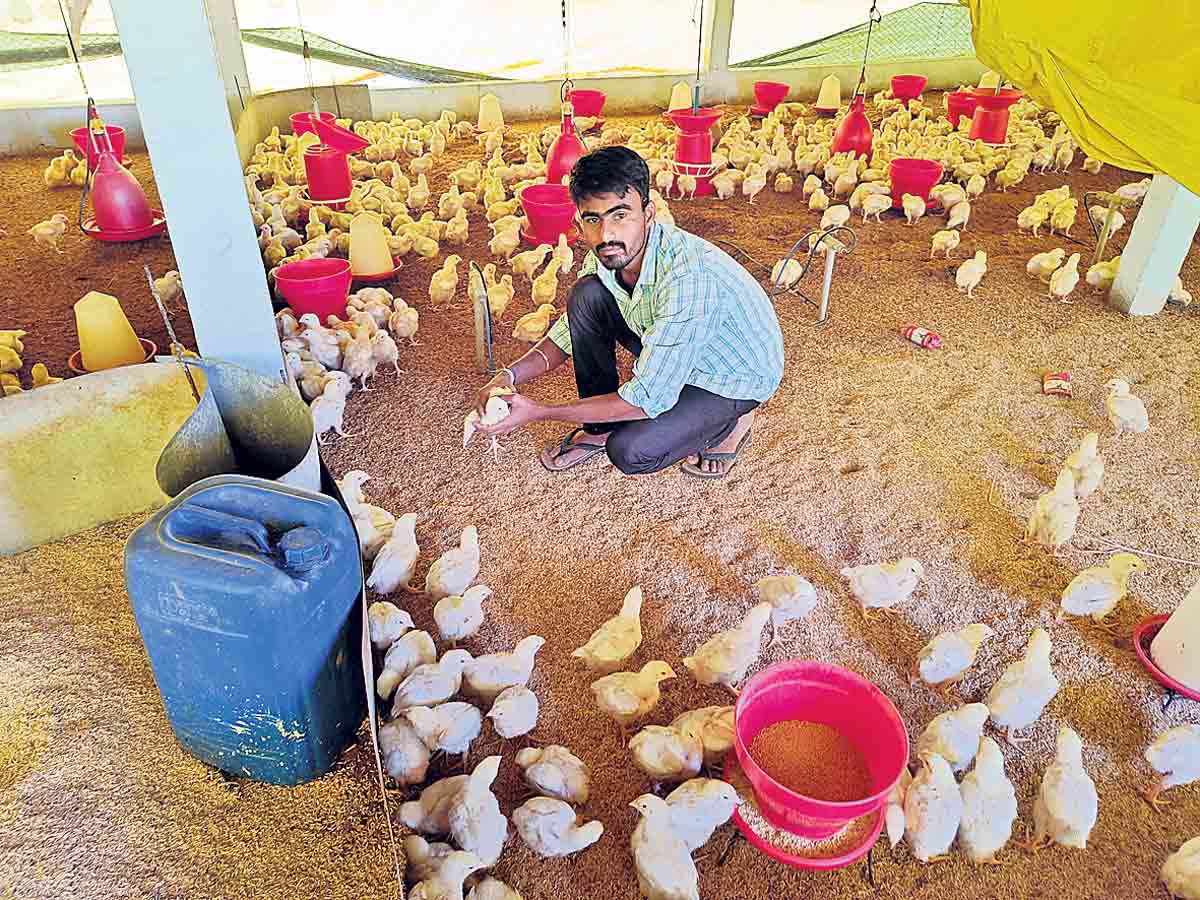 సాగు రంగంలో బీటెక్‌ యువకుడి ప్రయోగం