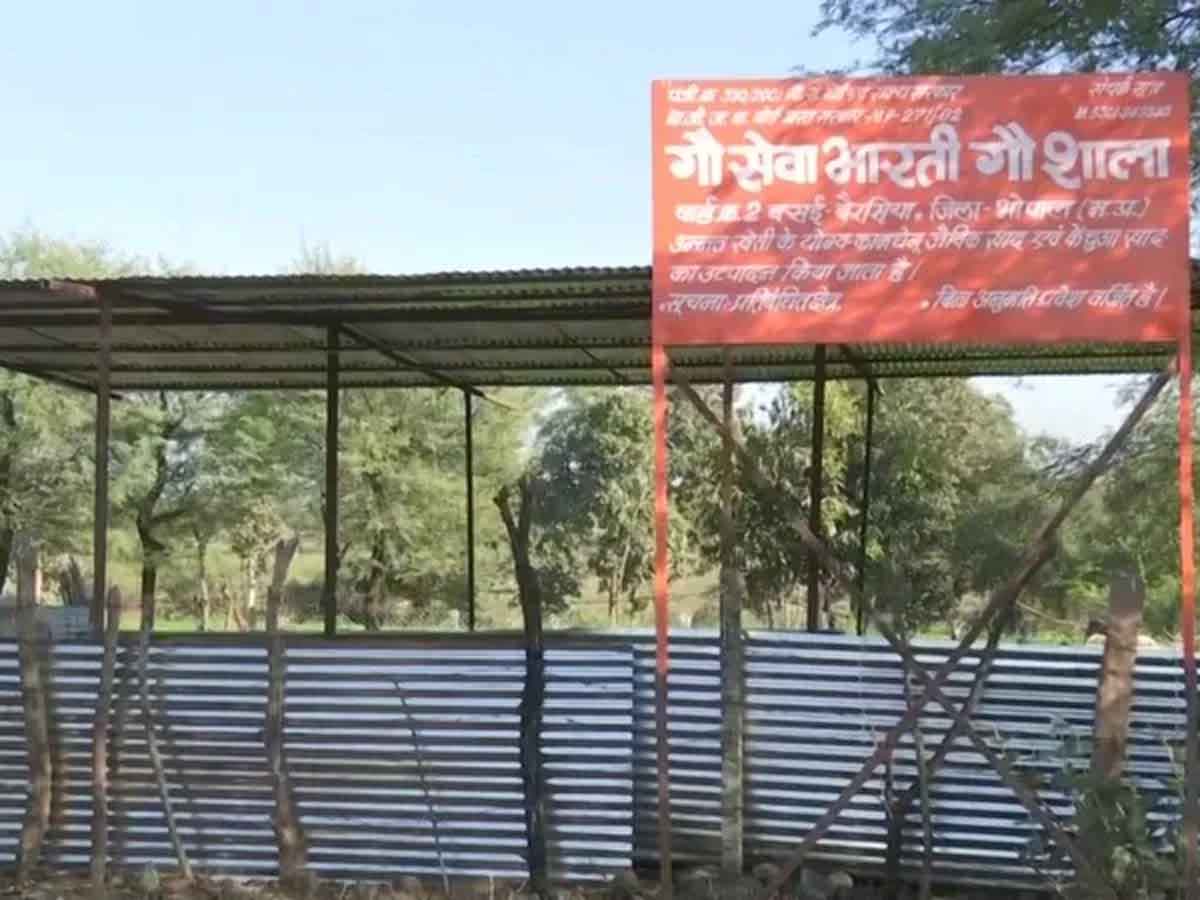 బీజేపీ నేత గోశాలలో ఆవులు మృతి.. వ్యాపారం చేస్తున్నారని డిగ్గీరాజా ఆరోపణ