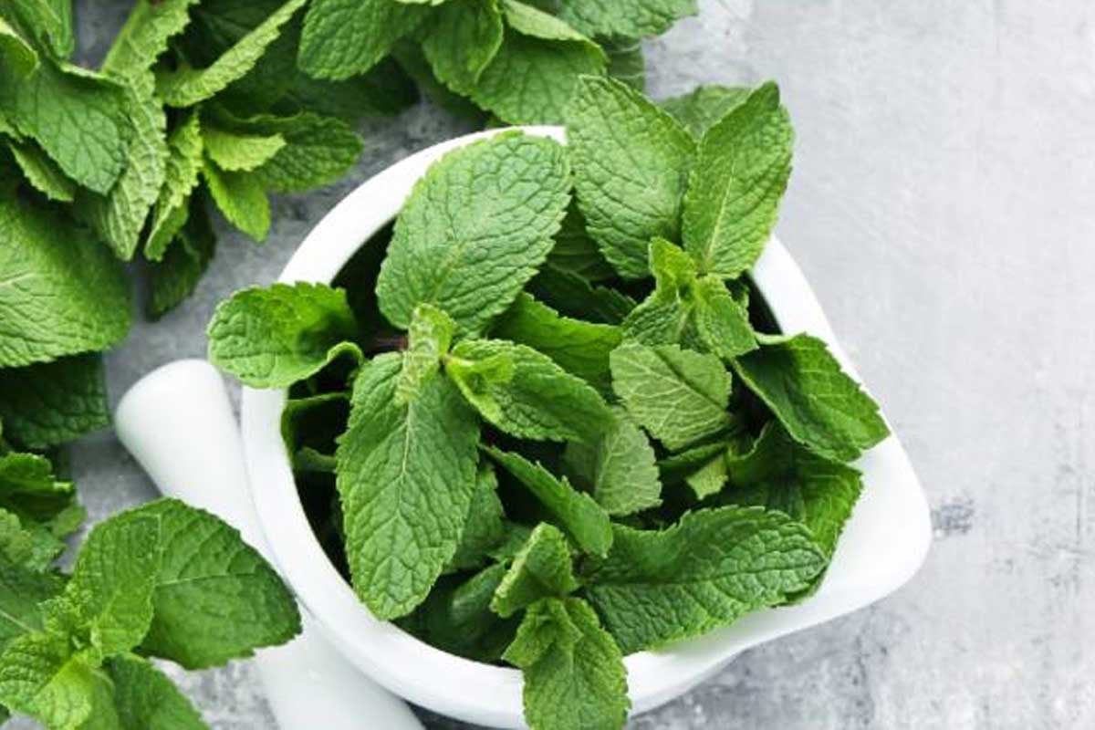 Health tips: పుదీనాతో జ‌లుబు, గొంతునొప్పి మ‌టుమాయం.. శ్వాస స‌మ‌స్య‌ల‌కు దివ్యౌష‌ధం..!