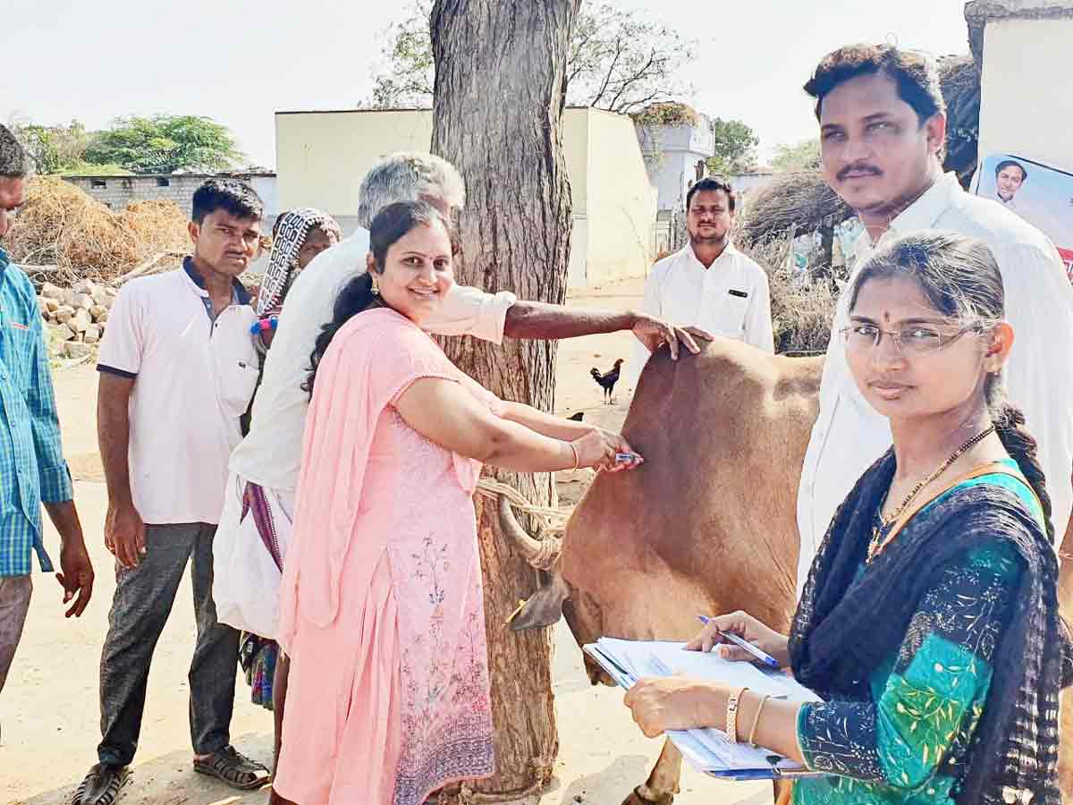 అటు జీవాలకు.. ఇటు జనాలకు..